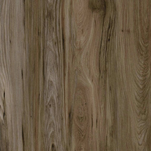 null Westerhof Westerhof MODERN