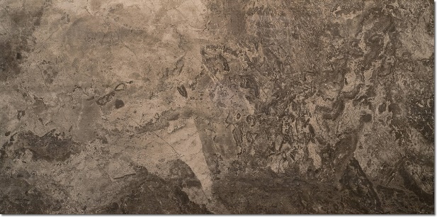 Керамогранит Seranit FOSSIL